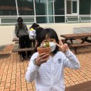 다모아힐링센터
