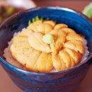 스테이 카마(stay kamma) | [북해도/홋카이도] 2박 3일 겨울여행 준비 (비행기티켓, 숙소예약, 먹을거리 등)