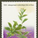 산과 들의 약용식물 이미지