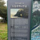 측백나무숲 주차장 | 대구 가볼만한곳 가을축제 도동 측백향 힐링축제 걷기대회