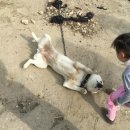 해늘농장 | 딸기체험농장) 봉화 해늘농장 딸기스쿨에 다녀왔어요~