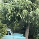 해리안호텔 | [오사카 유니버설 스튜디오 재팬] 해리포터 &amp; 유니버설 원더랜드 정보, 후기, 꿀팁