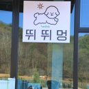 해동카셀프 | 파주 대형 애견카페 뛰뛰멍 내돈내산 추천