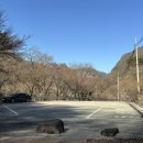 봉화군 종합관광안내소 이미지