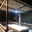 신천코지 이미지