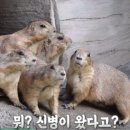 기봉이 농장 이미지