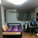 둔산여고 이미지