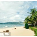 섬과 하루 이미지