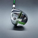 맥스애볼루션 이미지