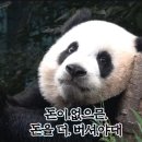 조선화로구이 이미지