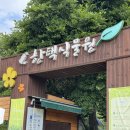 한택로 | 임산부 산책하기 좋은 용인 한택식물원 방문후기