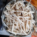 동심농장 이미지