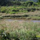 체인지공인중개사사무소 이미지