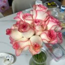 수명제 | W1) [하남 화훼단지] 웨딩촬영용 장미꽃 부케 셀프제작 후기💐