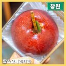 팡스베이커리 - 창원시 진해구 남영로 59 | 팡스베이커리