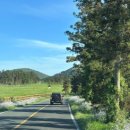 에피 | 제주 야외 웨딩 스냅 후기 - 에피토미그라피