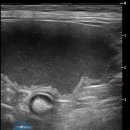 브리즈 동물병원 이미지