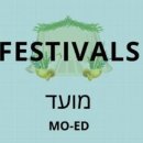 오헬모에드 이미지