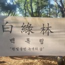 자연과사람은한몸(도자기공원)