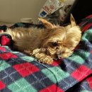 성포메트로정형외과의원 이미지