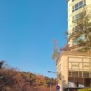 더봄공인중개사사무소 | 호평동 사무실 매매, 딱 맞는 공간을 찾아드립니다 (더봄부동산 실제 상담 기준