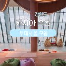 강원도 카시아 속초 호텔 부대시설 정보