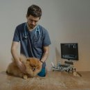 24시청주나음동물메디컬