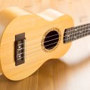 (초보자를 위한) 우쿨렐레 이미지