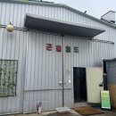 서울 근교/ 경기 고양시 일산 아이랑 나들이하기 좋은 유익한 신상 곤충체험장 '곤충월드'