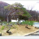 두리조경 이미지