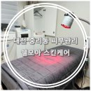 쉘모아스킨케어 - 서구 둔산로 220 | 쉘모아스킨케어