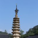 월정사 - 1011 | 월정사