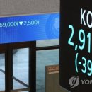 개미전자 이미지
