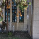 두산평생학습센터(대강당) | [대전시민대학]명예 학위수여식 대전 학위수여식 행사, 포토존구성, 인생네컷 스티커사진, 허니콤보드...