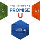 대양전자