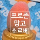 GS25등촌스타(등2) | 🥭 GS25 신상 아이스크림!프로즌 망고 소르베, 진짜 망고보다 망고 같은 그 맛 🍦💛