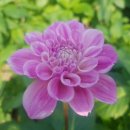 홍성농장 이미지