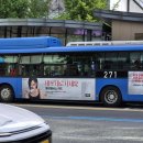 SG컴퍼니-SG COMPANY 이미지