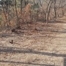 병산서원 종합안내소 이미지