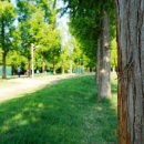 우천 공중화장실 이미지