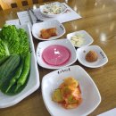 나정상회 이미지