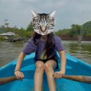 양평 드림캠핑장 | 양평수목원캠핑장 :: 데크 사이트 후기 / 캠핑 음식 대추천 / 모기 퇴치 꿀조합 공유