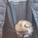 견생묭실 이미지