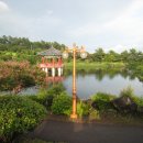 중문동-14 이미지