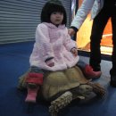 혜솔어린이집 이미지