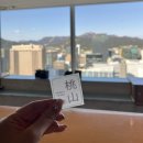 롯데호텔 서울 모모야마 런치 오마카세(Lotte Hotel Seoul Momoyama)