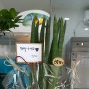 와닭꼬치 이미지