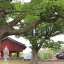 정자우리들 이미지