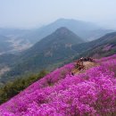 [2026년 4월 11일 토요일] 창원 천주산( 진달래축제하늘을 받치고 있다는』뜻을 가진 산 산행안내 이미지