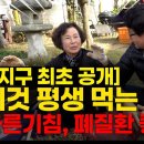 마른기침 폐질환에 좋은 이것 평생 먹는법 - 천문동 이미지